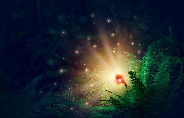 Ivan Kupala: Fern Flower