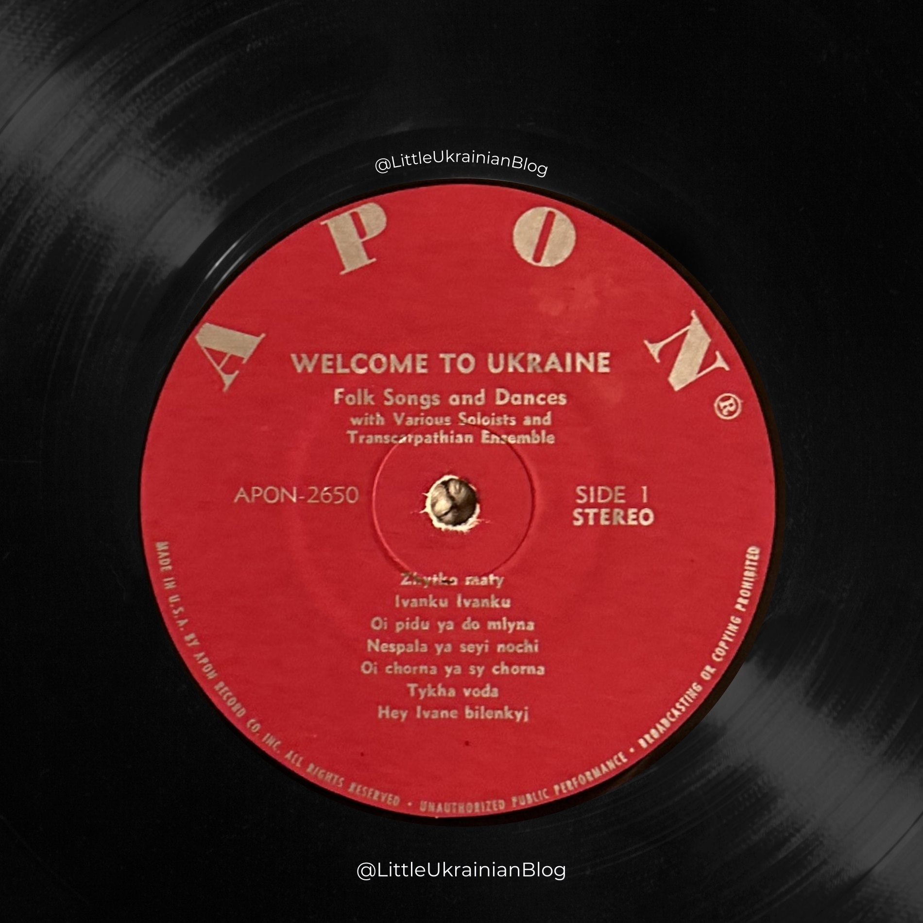 welcome-to-ukraine-vinyl-3