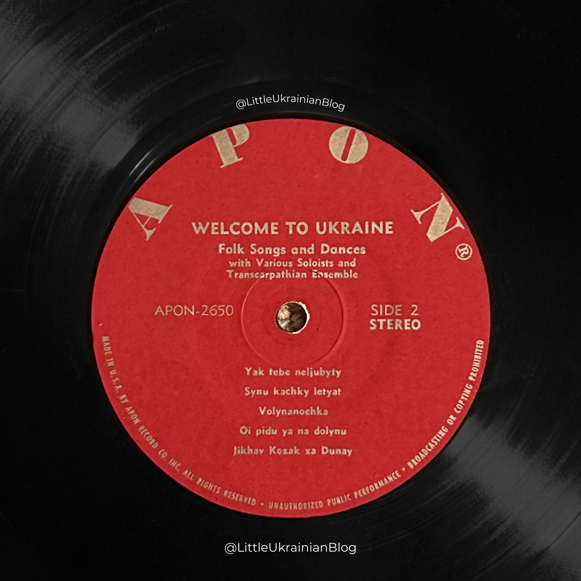 welcome-to-ukraine-vinyl-4