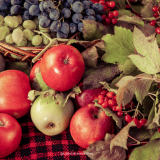 Top 5 Traditional Ukrainian Autumnal Foods