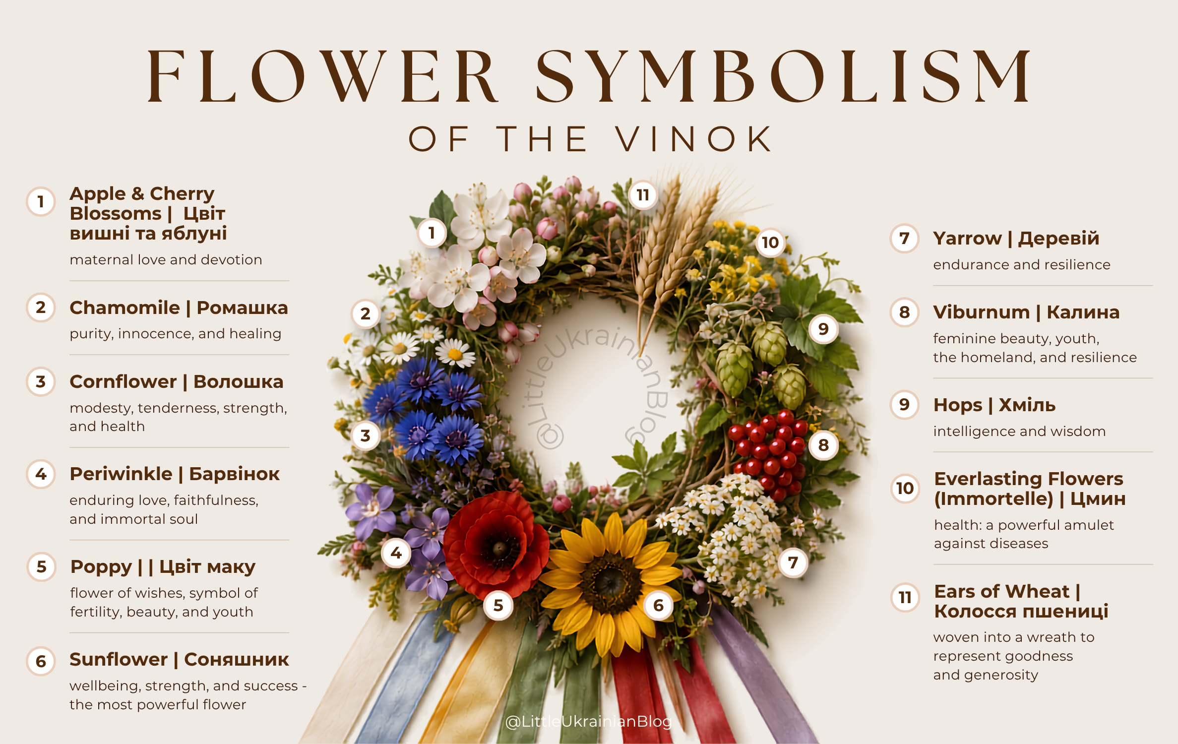 Flower Symbolism of the Vinok, Vinok Ukrainian Headdress, Vinok Ukrainian Flower Crown. realistic floral wreath featuring chamomile, cornflower, sunflower, poppy, viburnum and other traditional flowers, illustrating the symbolism and meaning of each flower in Ukrainian folk culture and heritage.